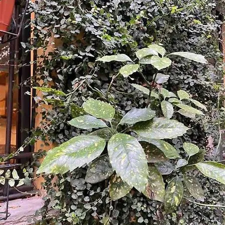 Loft Di Design Nel Cuore Di Apartment